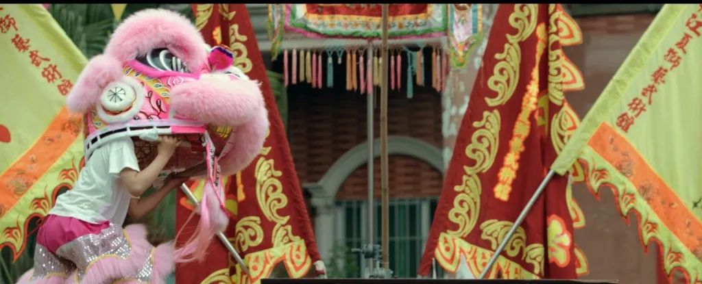 狮群里,出现了一只粉色的小狮子......休闲区蓝鸢梦想 - Www.slyday.coM 狮群里,出现了一只粉色的小狮子......休闲区蓝鸢梦想 - Www.slyday.coM