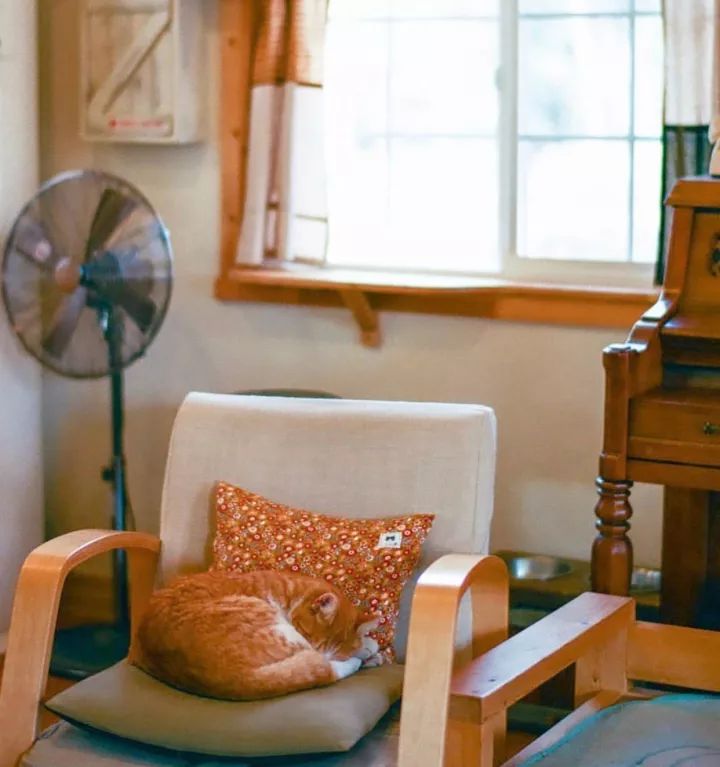 秋天的一些拍照灵感,满屏的橘色调,太治愈了!休闲区蓝鸢梦想 - Www.slyday.coM 秋天的一些拍照灵感,满屏的橘色调,太治愈了!休闲区蓝鸢梦想 - Www.slyday.coM