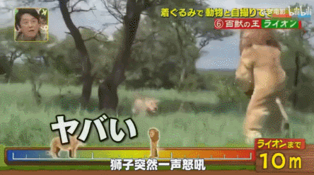 四川有多少熊猫是人扮的?休闲区蓝鸢梦想 - Www.slyday.coM 四川有多少熊猫是人扮的?休闲区蓝鸢梦想 - Www.slyday.coM