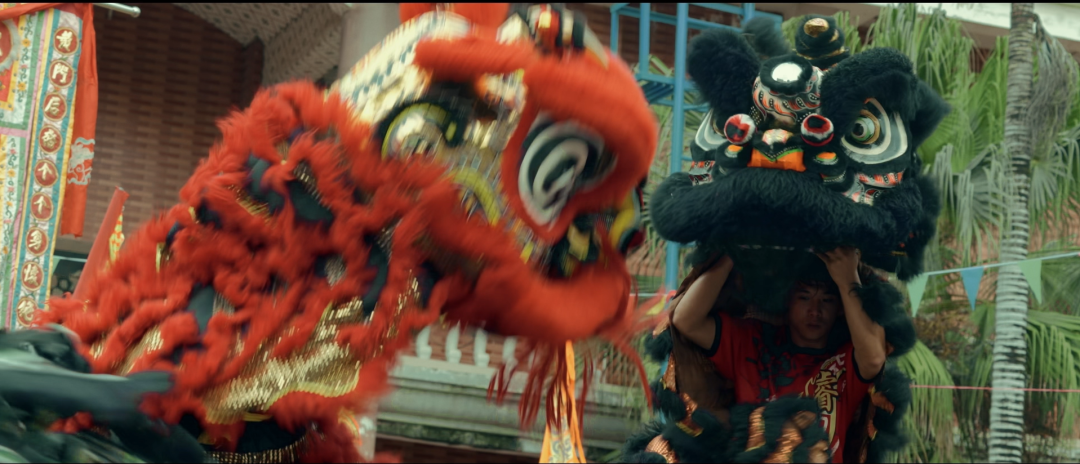 狮群里,出现了一只粉色的小狮子......休闲区蓝鸢梦想 - Www.slyday.coM 狮群里,出现了一只粉色的小狮子......休闲区蓝鸢梦想 - Www.slyday.coM