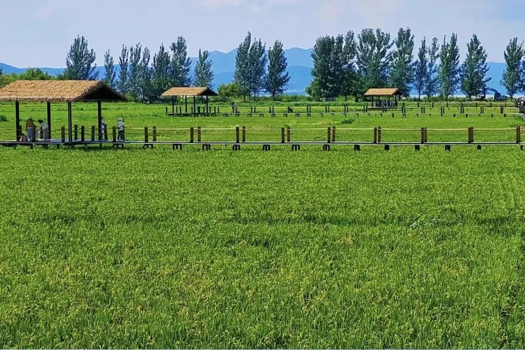 沉浸在昆明现实版宫崎骏动画里的世界休闲区蓝鸢梦想 - Www.slyday.coM 沉浸在昆明现实版宫崎骏动画里的世界休闲区蓝鸢梦想 - Www.slyday.coM