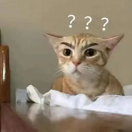 东北虎和华南虎打架谁会赢、熊猫一天拉多少“粑粑”……这位同济副教授的科普短视频“有点东西”休闲区蓝鸢梦想 - Www.slyday.coM 东北虎和华南虎打架谁会赢、熊猫一天拉多少“粑粑”……这位同济副教授的科普短视频“有点东西”休闲区蓝鸢梦想 - Www.slyday.coM