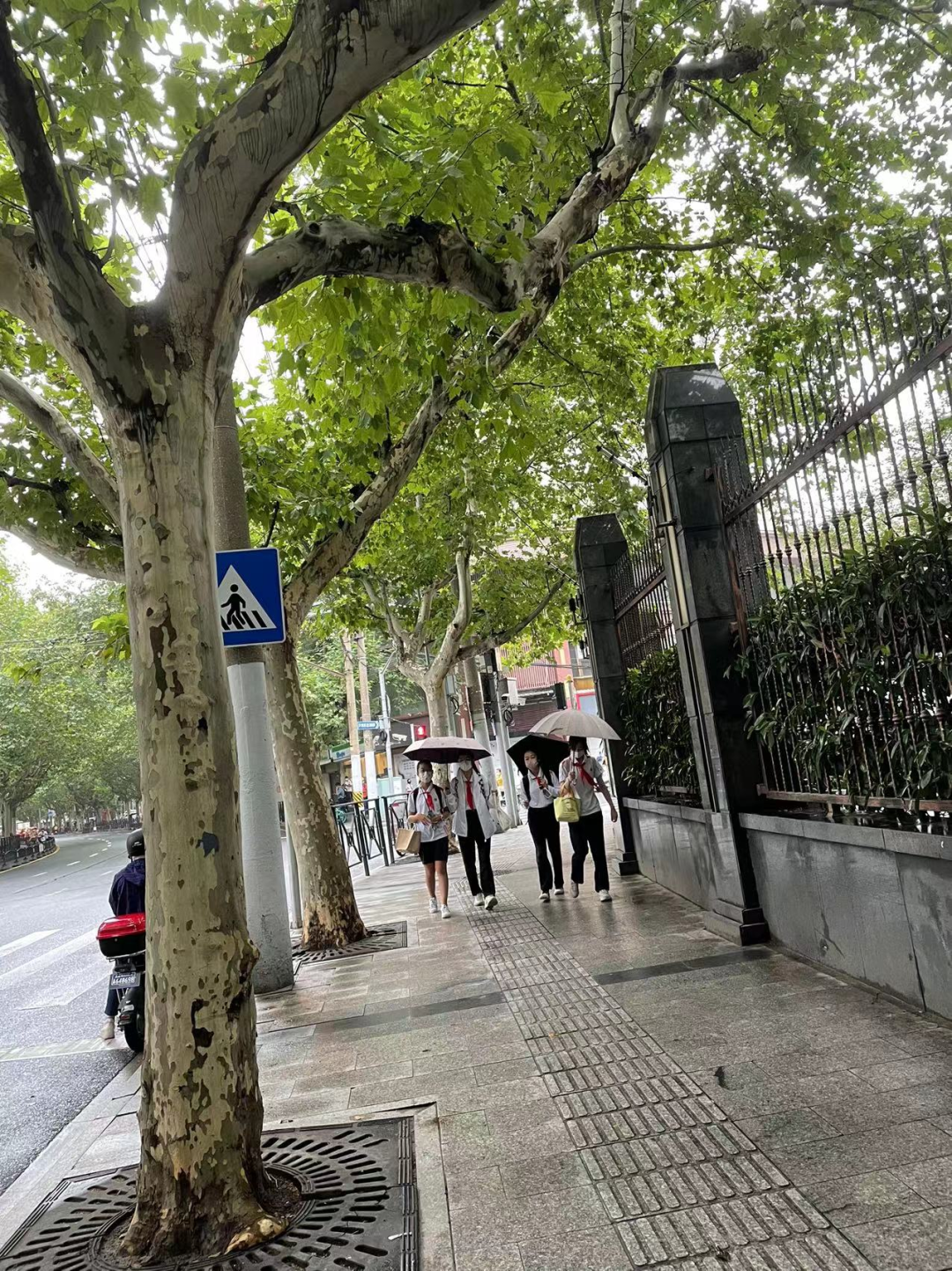 台风或在上海登陆,多区升级橙色预警!早高峰为何风雨不大?今晚全市景观照明暂停休闲区蓝鸢梦想 - Www.slyday.coM 台风或在上海登陆,多区升级橙色预警!早高峰为何风雨不大?今晚全市景观照明暂停休闲区蓝鸢梦想 - Www.slyday.coM