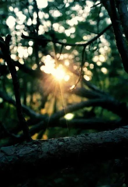 我从2岁起寄养在姑姑家,如今拒给亲弟弟买房,被父母告上法庭,索要50万元赡养费休闲区蓝鸢梦想 - Www.slyday.coM 我从2岁起寄养在姑姑家,如今拒给亲弟弟买房,被父母告上法庭,索要50万元赡养费休闲区蓝鸢梦想 - Www.slyday.coM