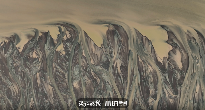 钱塘江入海口出现一片“水墨树林”?鬼斧神工背后,是一连串的地理知识休闲区蓝鸢梦想 - Www.slyday.coM 钱塘江入海口出现一片“水墨树林”?鬼斧神工背后,是一连串的地理知识休闲区蓝鸢梦想 - Www.slyday.coM