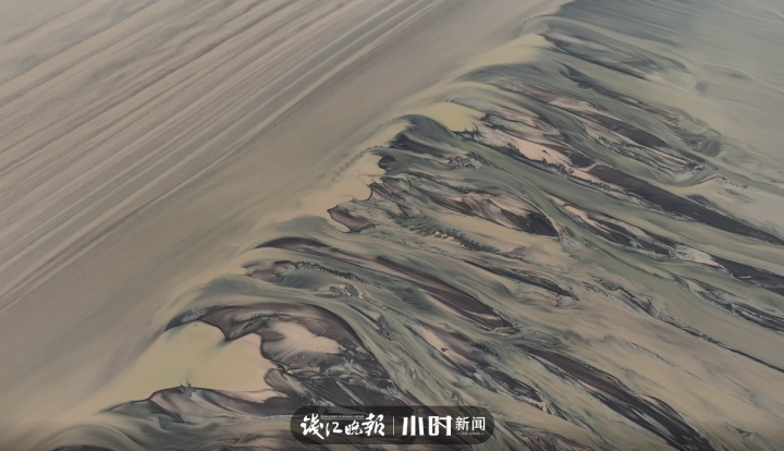 钱塘江入海口出现一片“水墨树林”?鬼斧神工背后,是一连串的地理知识休闲区蓝鸢梦想 - Www.slyday.coM 钱塘江入海口出现一片“水墨树林”?鬼斧神工背后,是一连串的地理知识休闲区蓝鸢梦想 - Www.slyday.coM