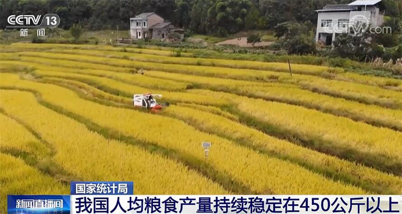 国家统计局:粮食安全水平提高 中国饭碗端得更稳休闲区蓝鸢梦想 - Www.slyday.coM 国家统计局:粮食安全水平提高 中国饭碗端得更稳休闲区蓝鸢梦想 - Www.slyday.coM