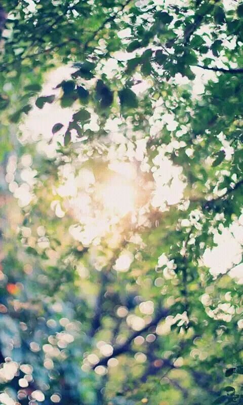 我从2岁起寄养在姑姑家,如今拒给亲弟弟买房,被父母告上法庭,索要50万元赡养费休闲区蓝鸢梦想 - Www.slyday.coM 我从2岁起寄养在姑姑家,如今拒给亲弟弟买房,被父母告上法庭,索要50万元赡养费休闲区蓝鸢梦想 - Www.slyday.coM