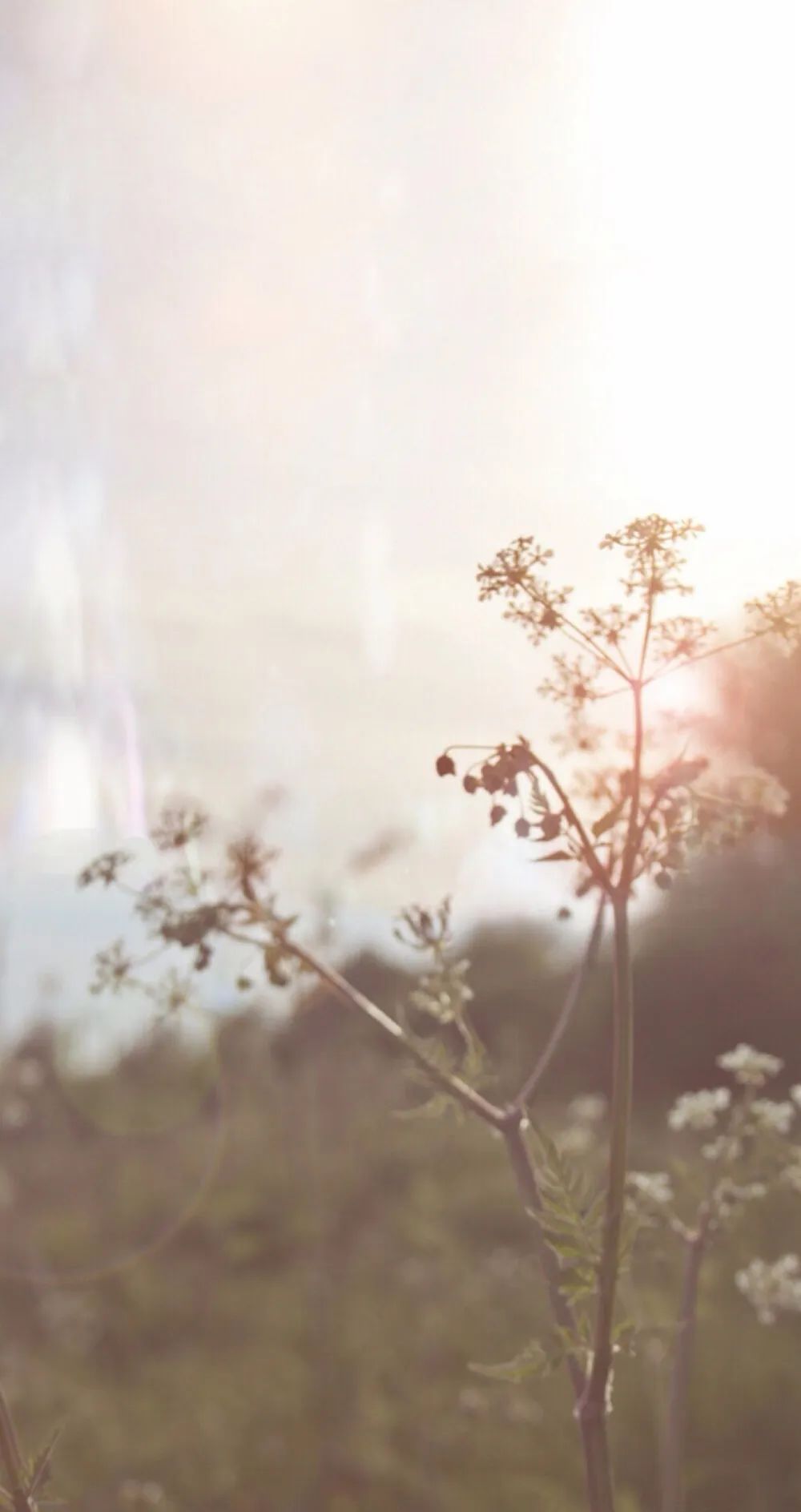 我从2岁起寄养在姑姑家,如今拒给亲弟弟买房,被父母告上法庭,索要50万元赡养费休闲区蓝鸢梦想 - Www.slyday.coM 我从2岁起寄养在姑姑家,如今拒给亲弟弟买房,被父母告上法庭,索要50万元赡养费休闲区蓝鸢梦想 - Www.slyday.coM