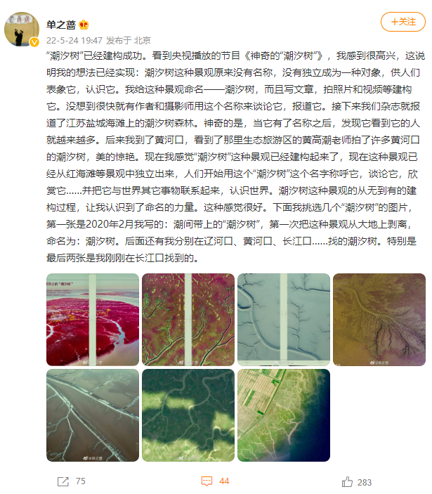 钱塘江入海口出现一片“水墨树林”?鬼斧神工背后,是一连串的地理知识休闲区蓝鸢梦想 - Www.slyday.coM 钱塘江入海口出现一片“水墨树林”?鬼斧神工背后,是一连串的地理知识休闲区蓝鸢梦想 - Www.slyday.coM