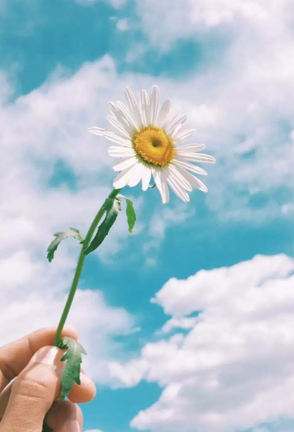 我从2岁起寄养在姑姑家,如今拒给亲弟弟买房,被父母告上法庭,索要50万元赡养费休闲区蓝鸢梦想 - Www.slyday.coM 我从2岁起寄养在姑姑家,如今拒给亲弟弟买房,被父母告上法庭,索要50万元赡养费休闲区蓝鸢梦想 - Www.slyday.coM