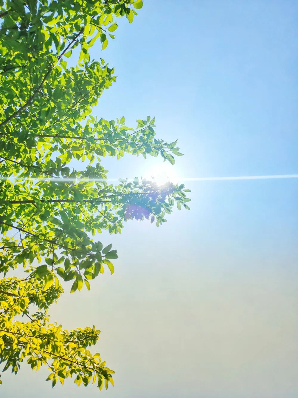 我从2岁起寄养在姑姑家,如今拒给亲弟弟买房,被父母告上法庭,索要50万元赡养费休闲区蓝鸢梦想 - Www.slyday.coM 我从2岁起寄养在姑姑家,如今拒给亲弟弟买房,被父母告上法庭,索要50万元赡养费休闲区蓝鸢梦想 - Www.slyday.coM