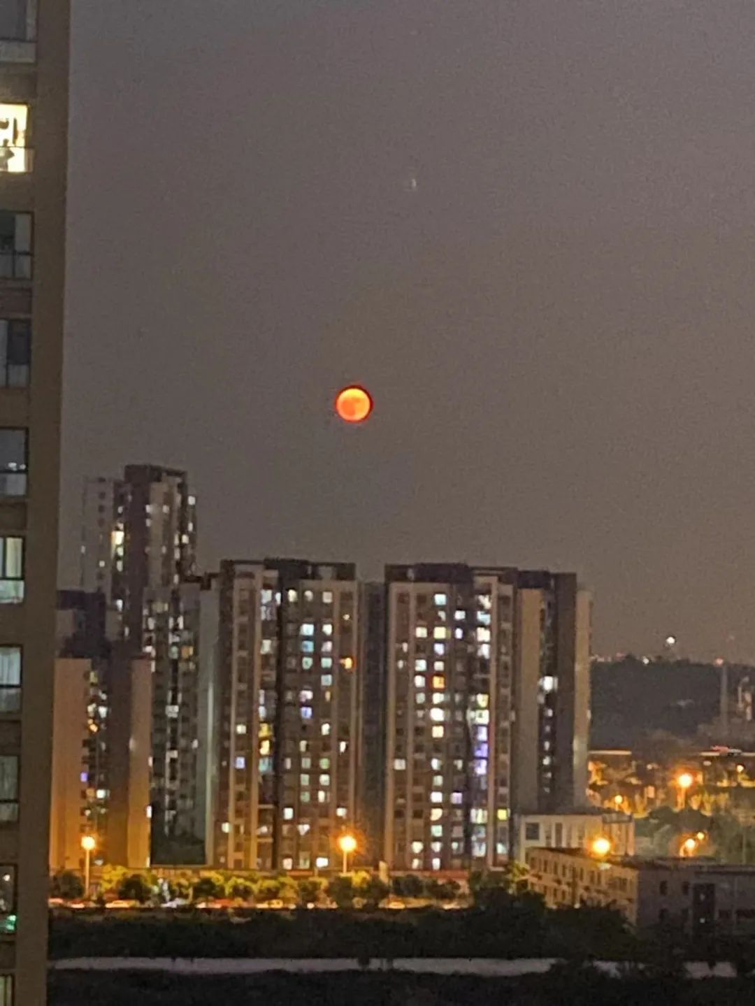 从全城静默到大部分解封,我看到了我更爱的成都!休闲区蓝鸢梦想 - Www.slyday.coM 从全城静默到大部分解封,我看到了我更爱的成都!休闲区蓝鸢梦想 - Www.slyday.coM