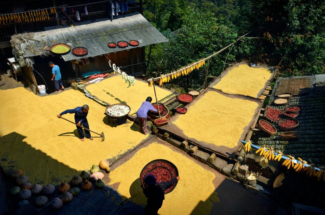 在沅陵,遇见最美的秋天休闲区蓝鸢梦想 - Www.slyday.coM 在沅陵,遇见最美的秋天休闲区蓝鸢梦想 - Www.slyday.coM