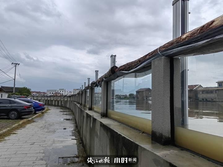 玻璃挡墙秒变”鱼缸“,余姚这处“防洪神器”引来市民打卡拍照休闲区蓝鸢梦想 - Www.slyday.coM 玻璃挡墙秒变”鱼缸“,余姚这处“防洪神器”引来市民打卡拍照休闲区蓝鸢梦想 - Www.slyday.coM