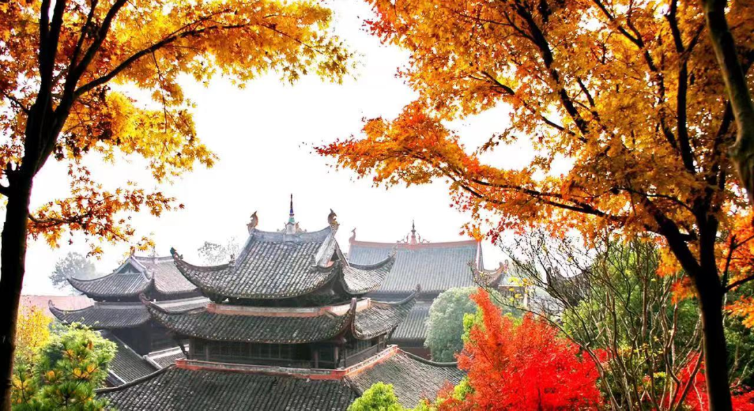 在沅陵,遇见最美的秋天休闲区蓝鸢梦想 - Www.slyday.coM 在沅陵,遇见最美的秋天休闲区蓝鸢梦想 - Www.slyday.coM