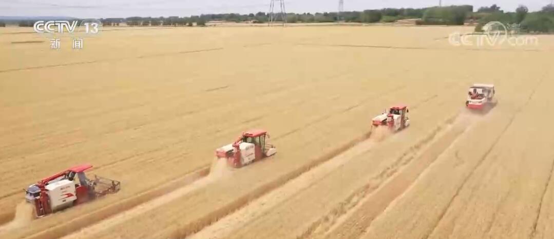 粮食安全水平提高 中国饭碗端得更稳休闲区蓝鸢梦想 - Www.slyday.coM 粮食安全水平提高 中国饭碗端得更稳休闲区蓝鸢梦想 - Www.slyday.coM