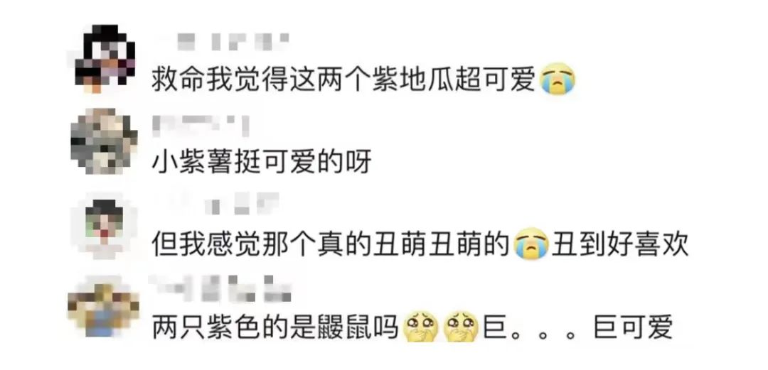 玲娜贝儿成过气女明星?新朋友“川沙落苏”要来了!网友:灭霸投胎不会骗钱休闲区蓝鸢梦想 - Www.slyday.coM 玲娜贝儿成过气女明星?新朋友“川沙落苏”要来了!网友:灭霸投胎不会骗钱休闲区蓝鸢梦想 - Www.slyday.coM