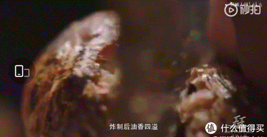 被螺蛳粉耽误的柳州,它才是真正的美食帝国!休闲区蓝鸢梦想 - Www.slyday.coM 被螺蛳粉耽误的柳州,它才是真正的美食帝国!休闲区蓝鸢梦想 - Www.slyday.coM