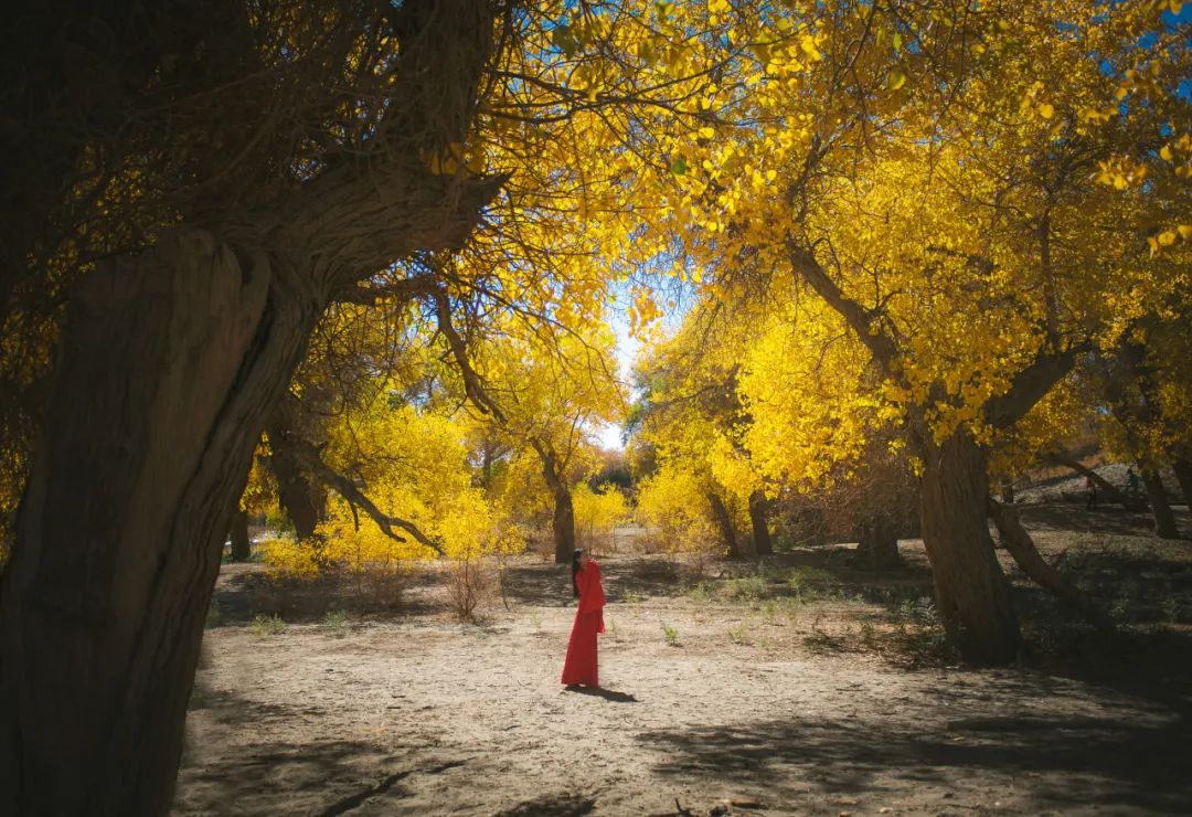 纳兰性德最让人心疼的一首诗:等风,等雨,等不到撑伞的你休闲区蓝鸢梦想 - Www.slyday.coM 纳兰性德最让人心疼的一首诗:等风,等雨,等不到撑伞的你休闲区蓝鸢梦想 - Www.slyday.coM