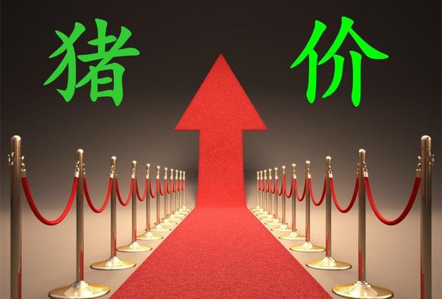 9月储备肉投放将达20万吨!对市场影响到底多大?15元猪价有戏?休闲区蓝鸢梦想 - Www.slyday.coM 9月储备肉投放将达20万吨!对市场影响到底多大?15元猪价有戏?休闲区蓝鸢梦想 - Www.slyday.coM