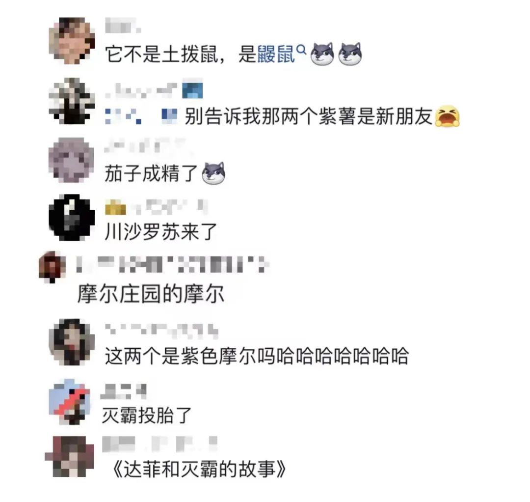 玲娜贝儿成过气女明星?新人被赐名“川沙落苏” 评论笑不活了!休闲区蓝鸢梦想 - Www.slyday.coM 玲娜贝儿成过气女明星?新人被赐名“川沙落苏” 评论笑不活了!休闲区蓝鸢梦想 - Www.slyday.coM