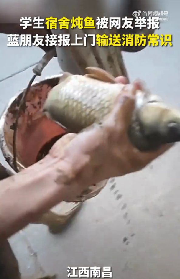 宿舍炖鲫鱼汤还发短视频炫耀,被这届网友排队举报!果然,TA们又顺网线找上门了休闲区蓝鸢梦想 - Www.slyday.coM 宿舍炖鲫鱼汤还发短视频炫耀,被这届网友排队举报!果然,TA们又顺网线找上门了休闲区蓝鸢梦想 - Www.slyday.coM