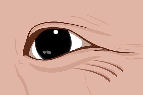 男性衰老,脸上容易有5种变化,哪怕只占一条,也要养成好习惯休闲区蓝鸢梦想 - Www.slyday.coM 男性衰老,脸上容易有5种变化,哪怕只占一条,也要养成好习惯休闲区蓝鸢梦想 - Www.slyday.coM