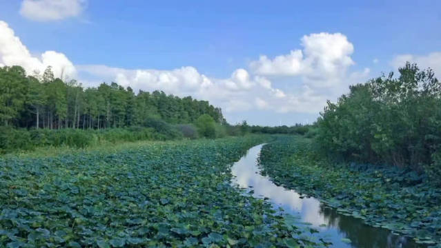 也许，这就是秋水长天吧 行到清水潭，坐看云起时……