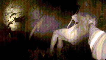 云南一男子去自家田地干活失联!5天后,家人又去试着喊了一声...休闲区蓝鸢梦想 - Www.slyday.coM 云南一男子去自家田地干活失联!5天后,家人又去试着喊了一声...休闲区蓝鸢梦想 - Www.slyday.coM