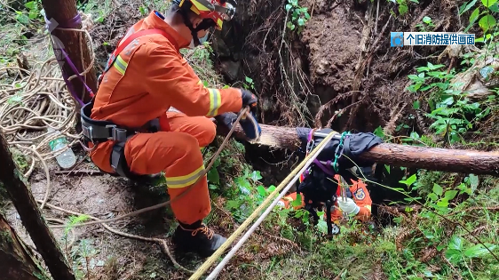 云南一男子去自家田地干活失联!5天后,家人又去试着喊了一声...休闲区蓝鸢梦想 - Www.slyday.coM 云南一男子去自家田地干活失联!5天后,家人又去试着喊了一声...休闲区蓝鸢梦想 - Www.slyday.coM