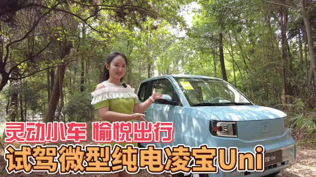 敢与神车分蛋糕，这款微型纯电小车不输五菱宏光Mini EV……