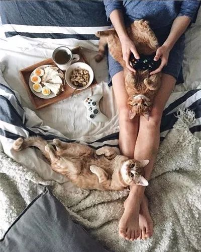 两只被遗弃的奶喵被这名妹纸捡到后,没想到竟是这样的“后果”!休闲区蓝鸢梦想 - Www.slyday.coM 两只被遗弃的奶喵被这名妹纸捡到后,没想到竟是这样的“后果”!休闲区蓝鸢梦想 - Www.slyday.coM