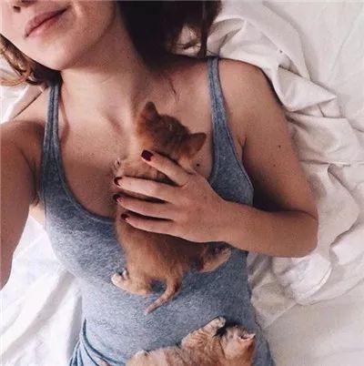 两只被遗弃的奶喵被这名妹纸捡到后,没想到竟是这样的“后果”!休闲区蓝鸢梦想 - Www.slyday.coM 两只被遗弃的奶喵被这名妹纸捡到后,没想到竟是这样的“后果”!休闲区蓝鸢梦想 - Www.slyday.coM