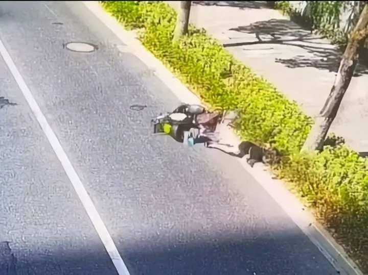 教训都这么深刻了!周一早高峰,我们想提醒一句:开车不看手机,骑车也一样休闲区蓝鸢梦想 - Www.slyday.coM 教训都这么深刻了!周一早高峰,我们想提醒一句:开车不看手机,骑车也一样休闲区蓝鸢梦想 - Www.slyday.coM