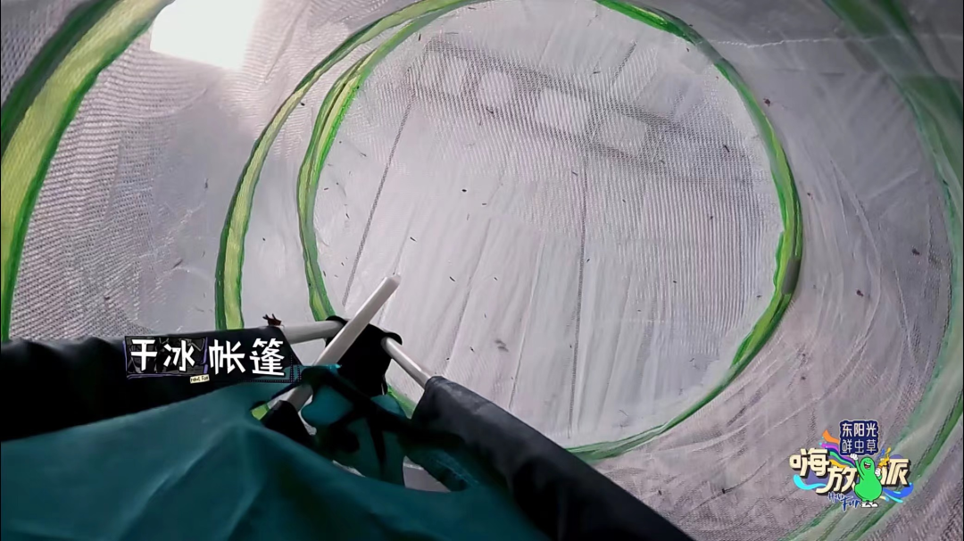 《嗨放派2》全国科普日解码夏日“秘密”,用全新视角看生活休闲区蓝鸢梦想 - Www.slyday.coM 《嗨放派2》全国科普日解码夏日“秘密”,用全新视角看生活休闲区蓝鸢梦想 - Www.slyday.coM