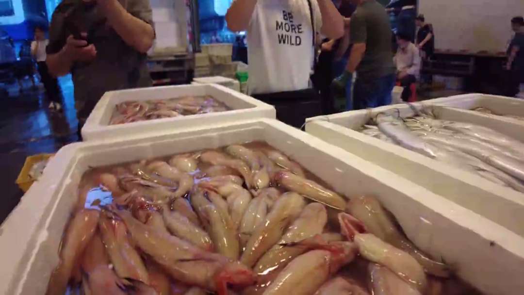 小黄花鱼多少钱一箱 36cd-cdf8444fd3b9ccb54cd6b06e6cca663b.png