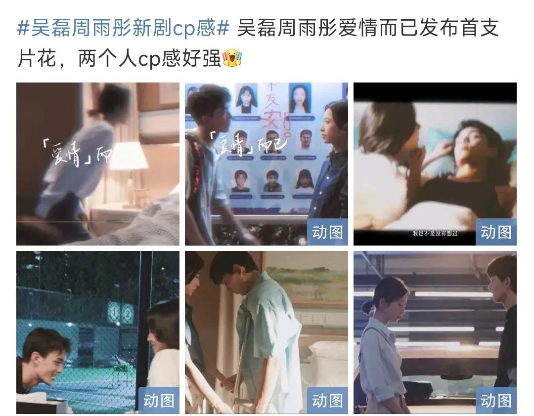 王嘉尔，杨洋刘诗诗，吴磊周雨彤，马嘉祺，经超休闲区蓝鸢梦想 - Www.slyday.coM