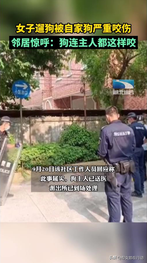 遛狗被自家狗严重咬伤 邻居惊呼:狗连主人都这样咬休闲区蓝鸢梦想 - Www.slyday.coM 遛狗被自家狗严重咬伤 邻居惊呼:狗连主人都这样咬休闲区蓝鸢梦想 - Www.slyday.coM