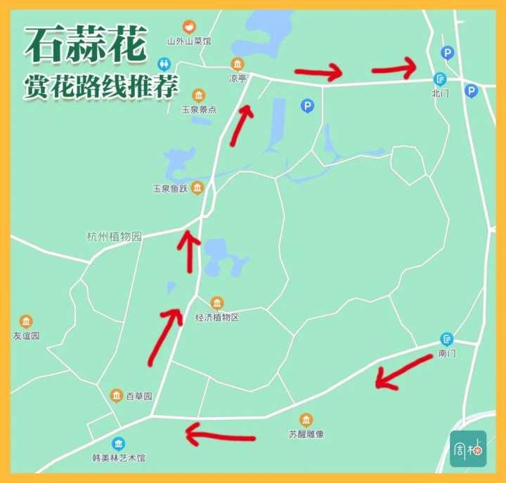 再不去就晚了!杭州植物园九月限定彼岸花,错过等一年休闲区蓝鸢梦想 - Www.slyday.coM 再不去就晚了!杭州植物园九月限定彼岸花,错过等一年休闲区蓝鸢梦想 - Www.slyday.coM