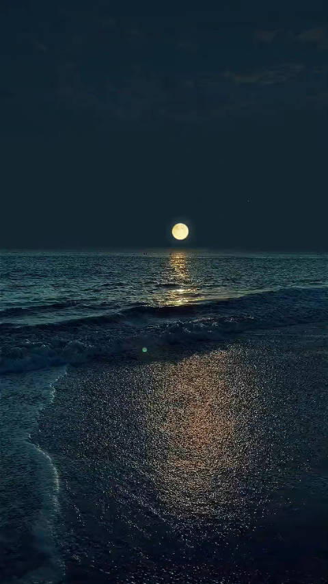 中秋没看到的海上生明月，不知道国庆能不能看到呀！