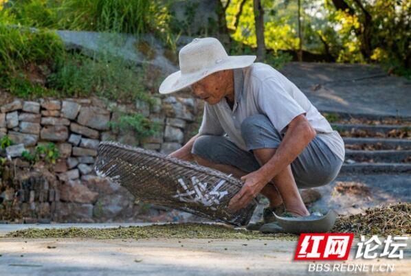 在古村看到老人打黄豆的情景,儿时的记忆连带着美味都回来了休闲区蓝鸢梦想 - Www.slyday.coM 在古村看到老人打黄豆的情景,儿时的记忆连带着美味都回来了休闲区蓝鸢梦想 - Www.slyday.coM
