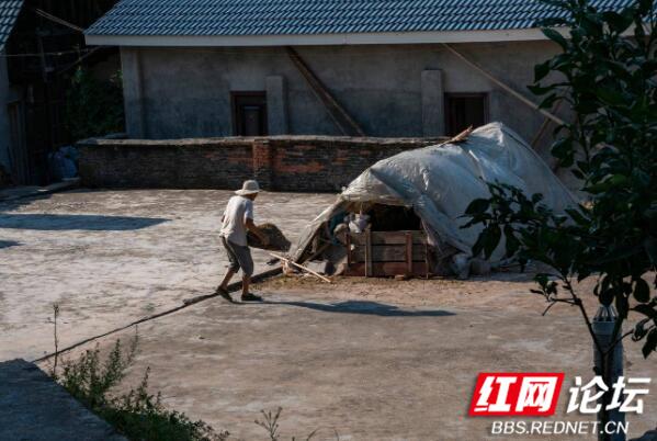 在古村看到老人打黄豆的情景,儿时的记忆连带着美味都回来了休闲区蓝鸢梦想 - Www.slyday.coM 在古村看到老人打黄豆的情景,儿时的记忆连带着美味都回来了休闲区蓝鸢梦想 - Www.slyday.coM