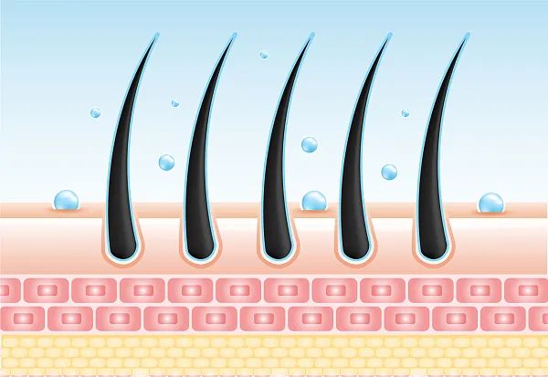 实用丨洗完头发到底要不要吹干?事关头发和你的健康,90%的人都做错了休闲区蓝鸢梦想 - Www.slyday.coM 实用丨洗完头发到底要不要吹干?事关头发和你的健康,90%的人都做错了休闲区蓝鸢梦想 - Www.slyday.coM