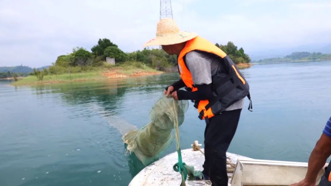 澄碧河水库首次收网回捕,被放生“清道夫”还未捕到休闲区蓝鸢梦想 - Www.slyday.coM 澄碧河水库首次收网回捕,被放生“清道夫”还未捕到休闲区蓝鸢梦想 - Www.slyday.coM