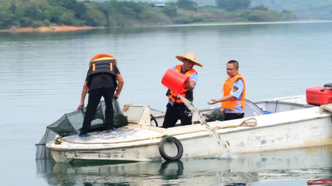 澄碧河水库首次收网回捕,被放生“清道夫”还未捕到休闲区蓝鸢梦想 - Www.slyday.coM 澄碧河水库首次收网回捕,被放生“清道夫”还未捕到休闲区蓝鸢梦想 - Www.slyday.coM