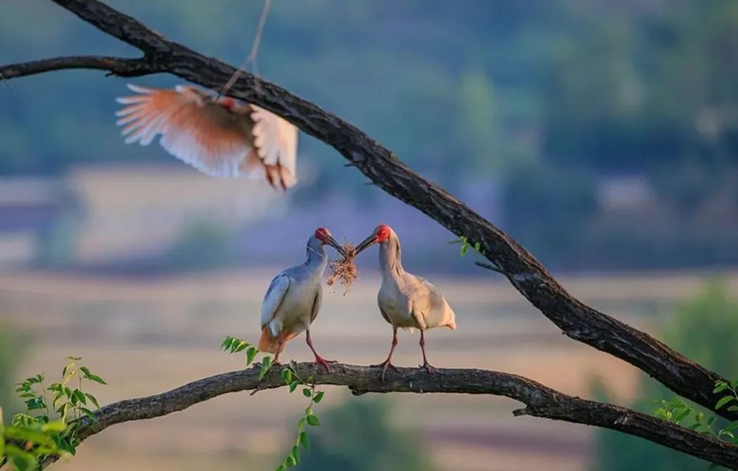 国庆最具性价比的亲子营来了!去隐世小山村,共赴一场稻田音乐会休闲区蓝鸢梦想 - Www.slyday.coM 国庆最具性价比的亲子营来了!去隐世小山村,共赴一场稻田音乐会休闲区蓝鸢梦想 - Www.slyday.coM