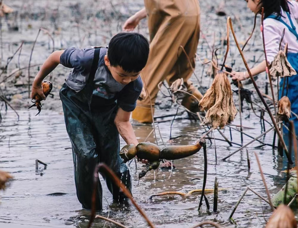国庆最具性价比的亲子营来了!去隐世小山村,共赴一场稻田音乐会休闲区蓝鸢梦想 - Www.slyday.coM 国庆最具性价比的亲子营来了!去隐世小山村,共赴一场稻田音乐会休闲区蓝鸢梦想 - Www.slyday.coM