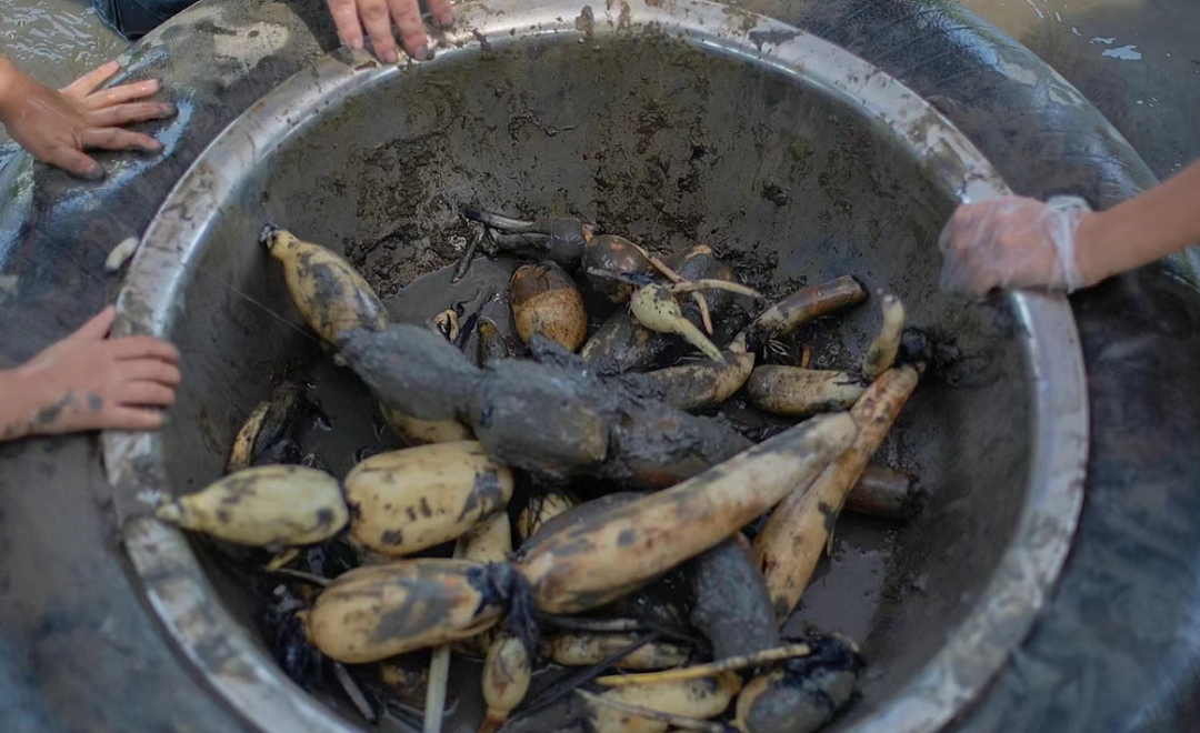 国庆最具性价比的亲子营来了!去隐世小山村,共赴一场稻田音乐会休闲区蓝鸢梦想 - Www.slyday.coM 国庆最具性价比的亲子营来了!去隐世小山村,共赴一场稻田音乐会休闲区蓝鸢梦想 - Www.slyday.coM