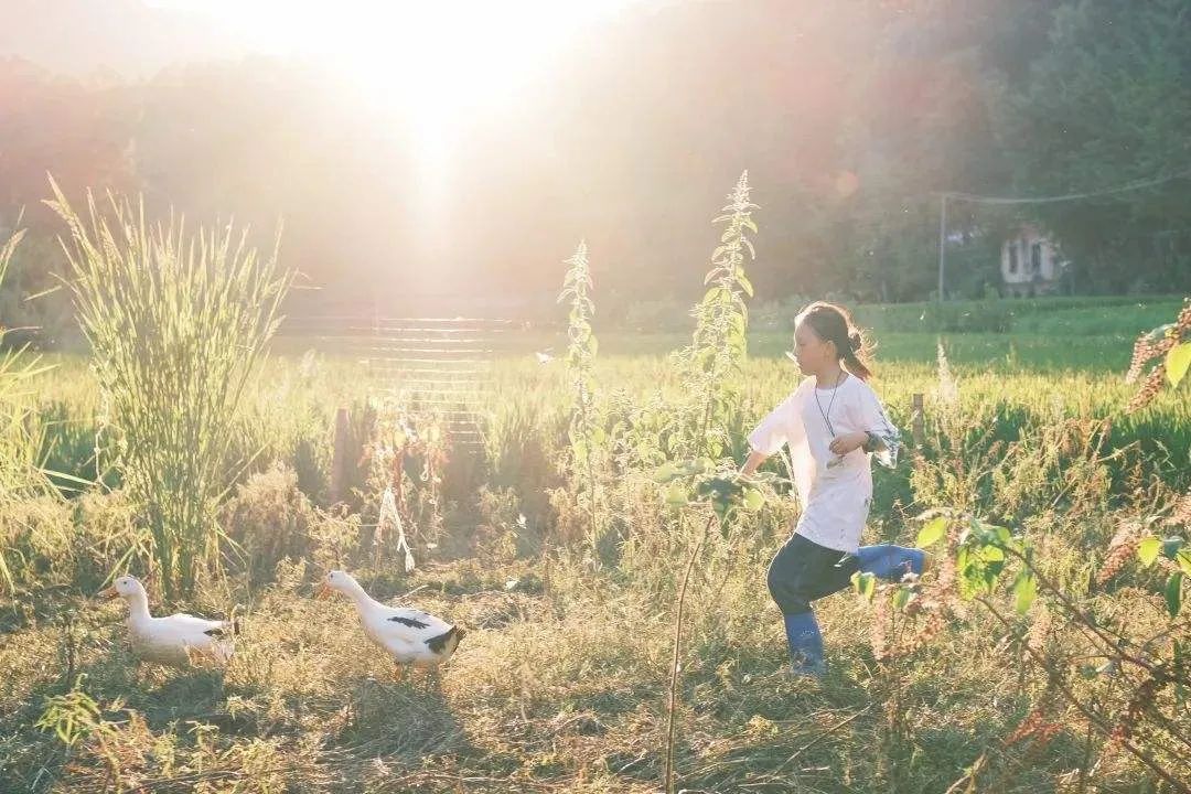 国庆最具性价比的亲子营来了!去隐世小山村,共赴一场稻田音乐会休闲区蓝鸢梦想 - Www.slyday.coM 国庆最具性价比的亲子营来了!去隐世小山村,共赴一场稻田音乐会休闲区蓝鸢梦想 - Www.slyday.coM